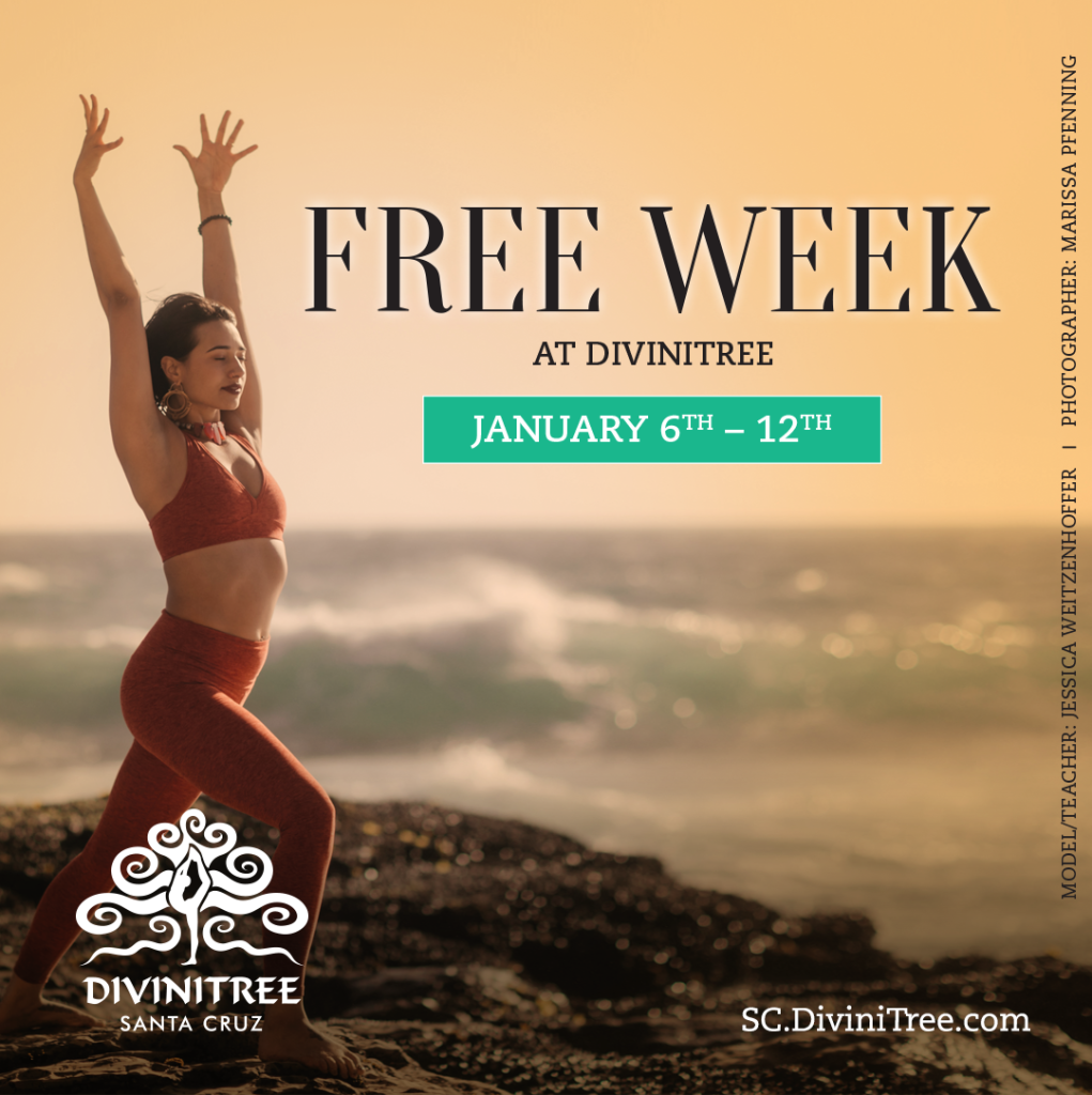 Join us this week for Free Yoga Classes.  